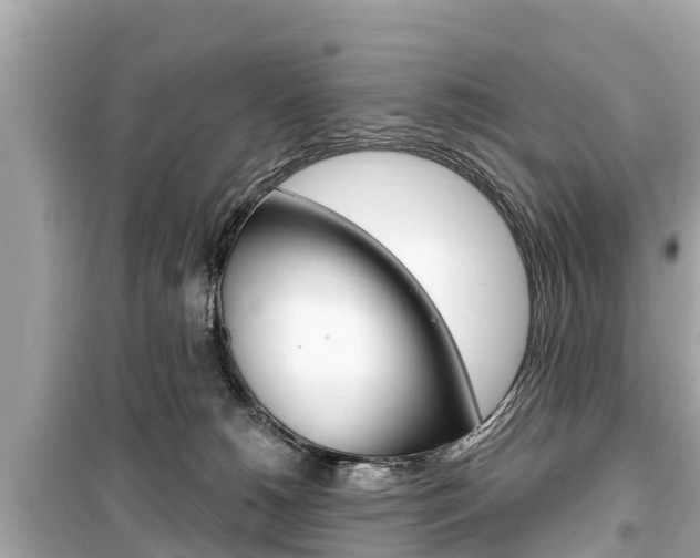 X0000099560180200805160759