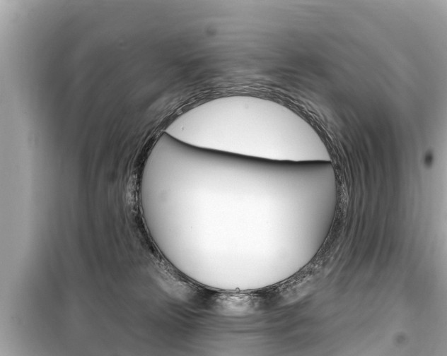 X0000099560181200805160759