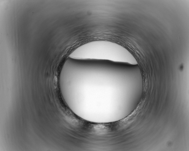X0000099560183200805160759
