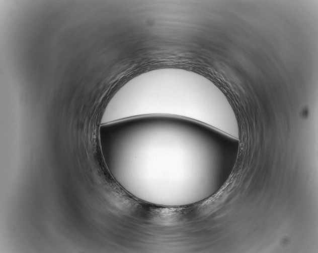 X0000099560184200805160759