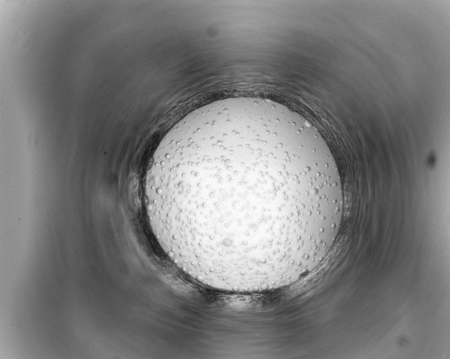 X0000099560187200805160759