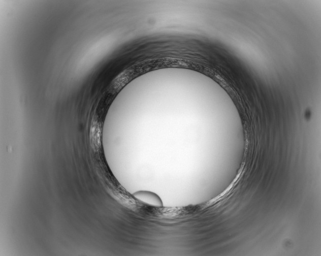 X0000099560191200805160800