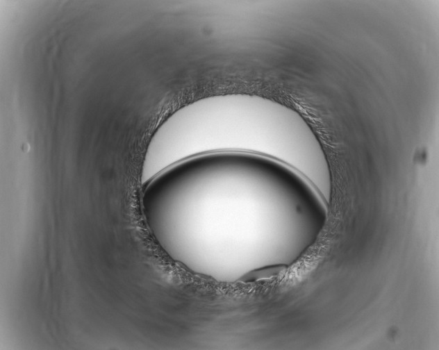 X0000099560192200805160800