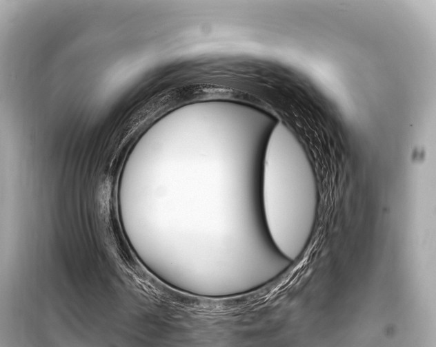 X0000099560194200805160759