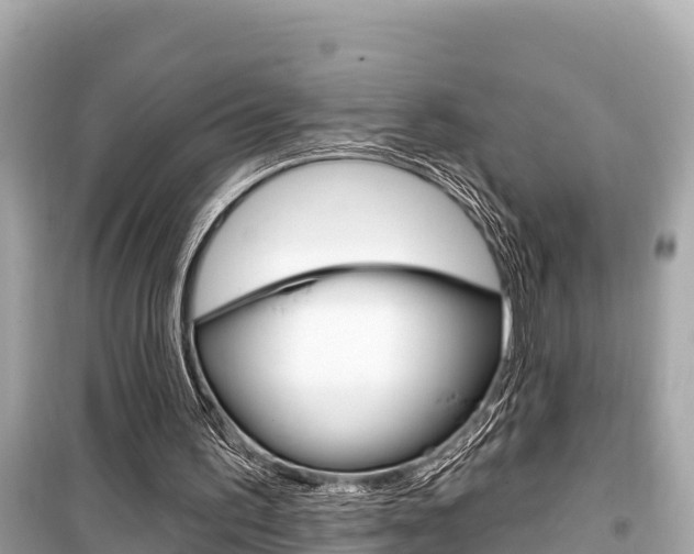 X0000099560195200805160759