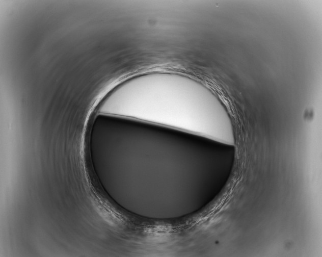 X0000099560196200805160759