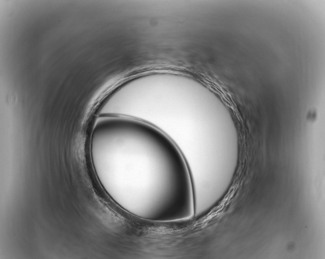 X0000099560197200805160759