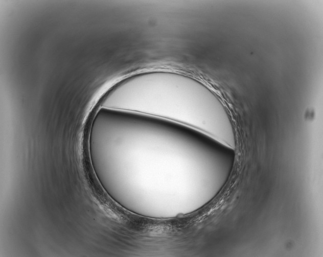 X0000099560200200805160759
