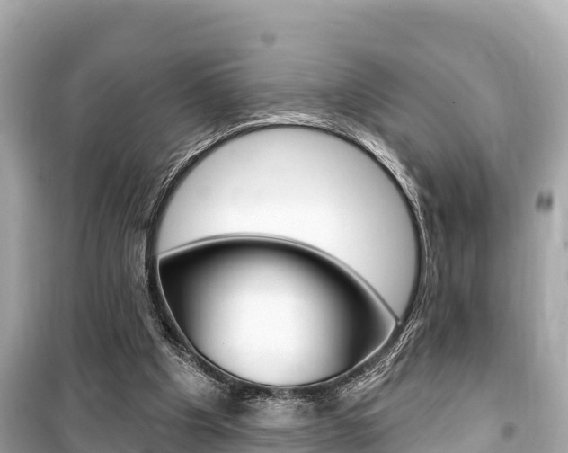 X0000099560201200805160759