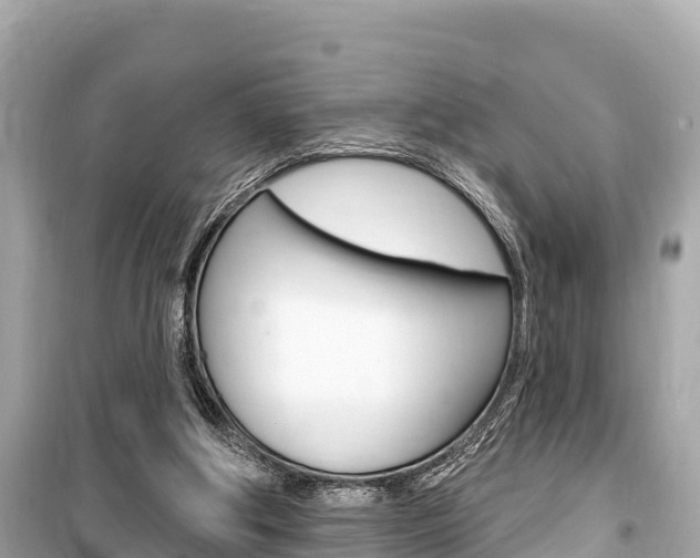 X0000099560202200805160759