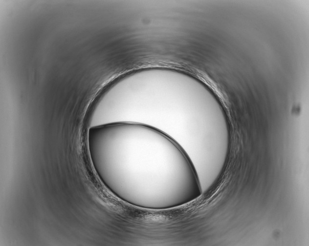 X0000099560203200805160759