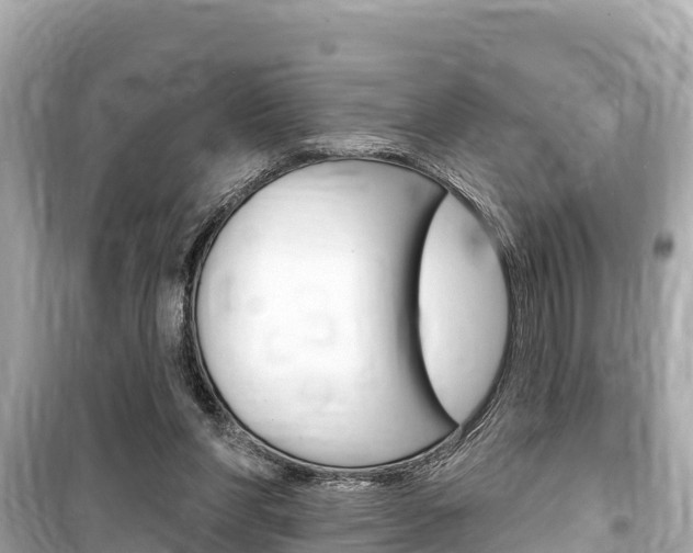 X0000099560206200805160759