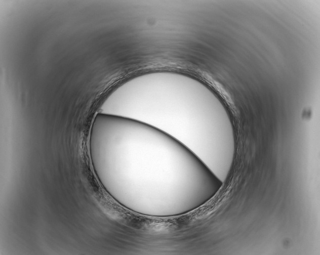 X0000099560209200805160758