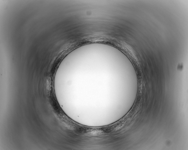 X0000099560210200805160758