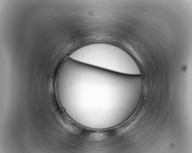 X0000099560213200805160758
