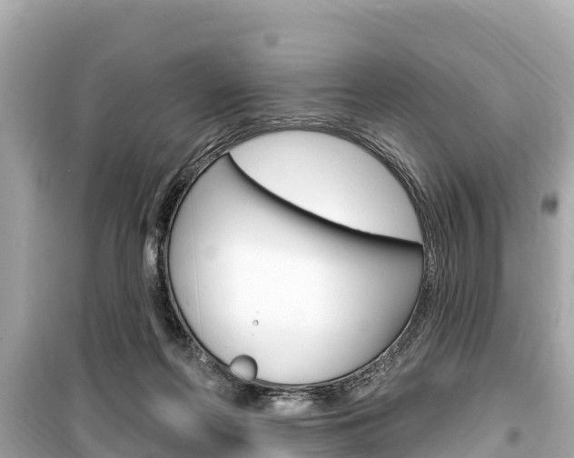 X0000099560214200805160758