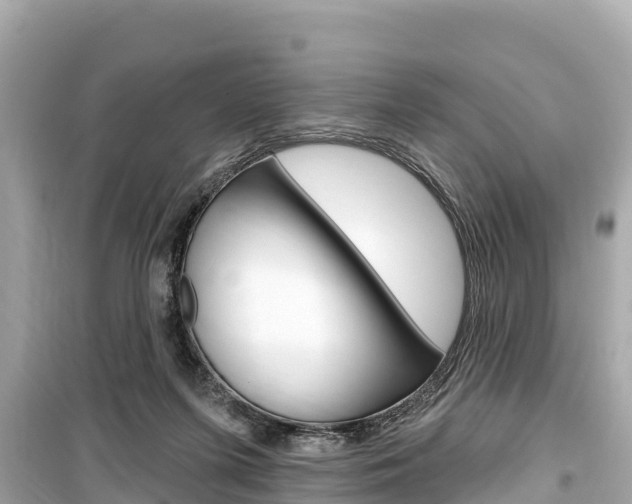 X0000099560215200805160758