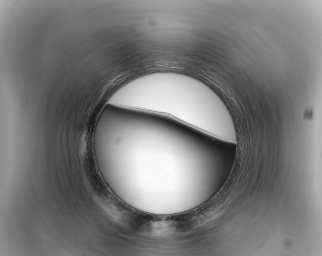 X0000099560216200805160758