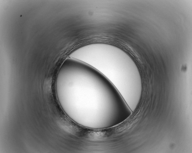 X0000099560217200805160758