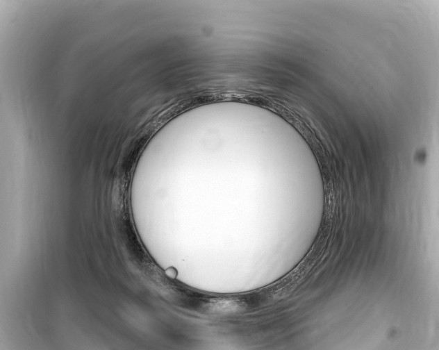 X0000099560218200805160758