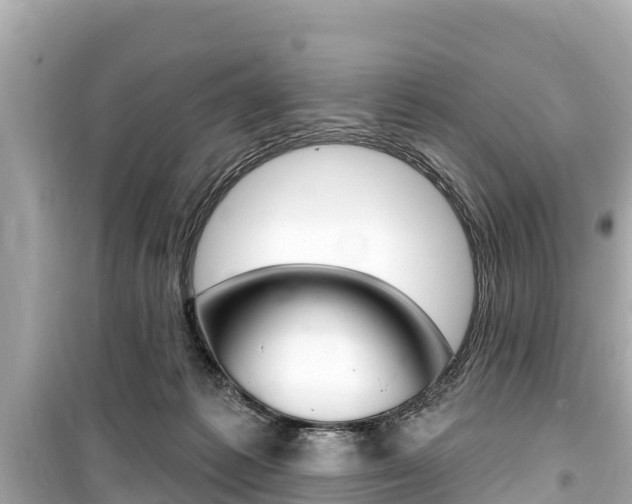 X0000099560221200805160758