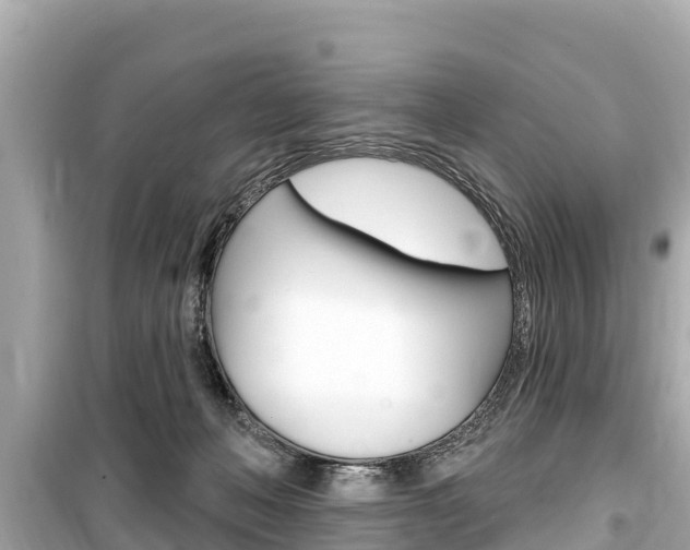X0000099560222200805160758