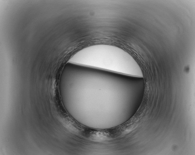 X0000099560223200805160758