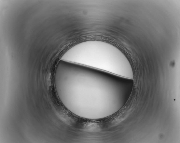 X0000099560224200805160758