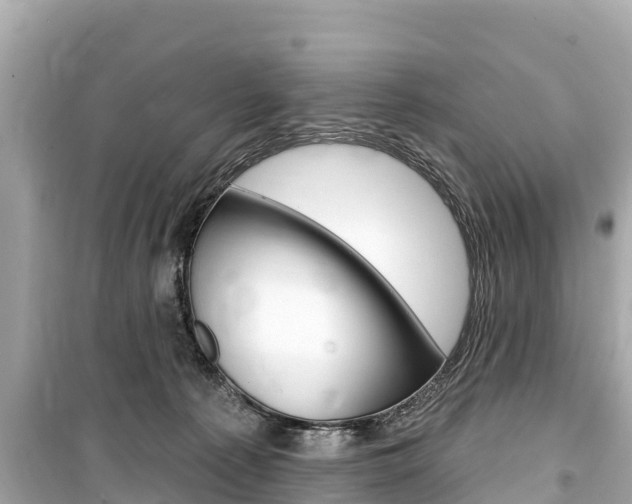 X0000099560225200805160758