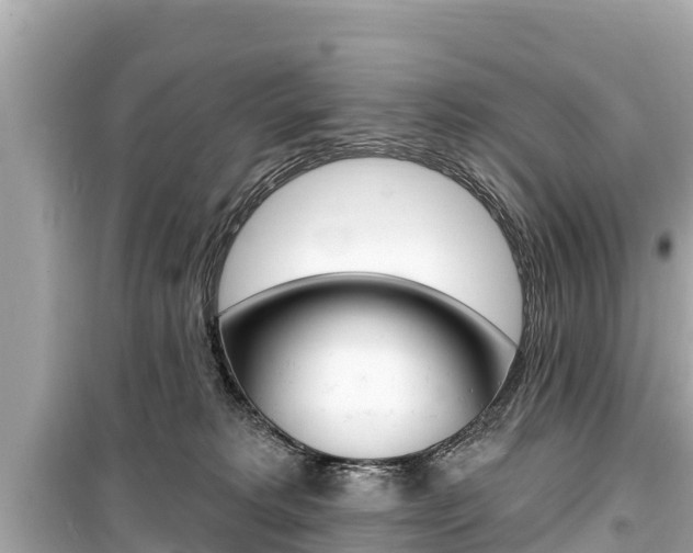X0000099560229200805160758