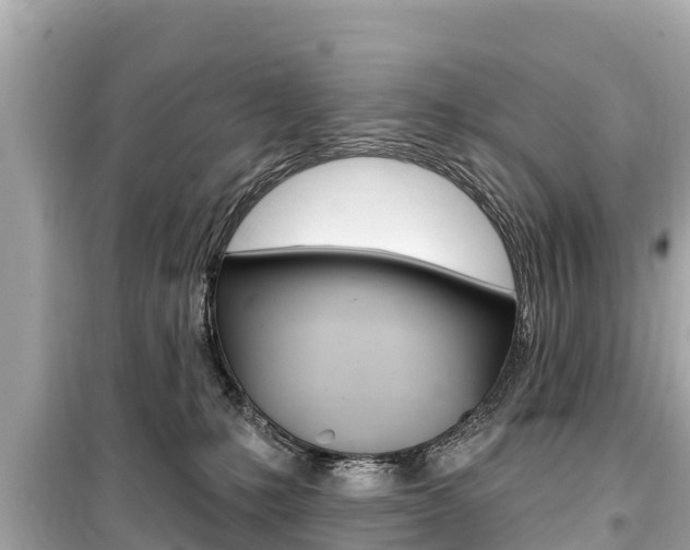 X0000099560231200805160758