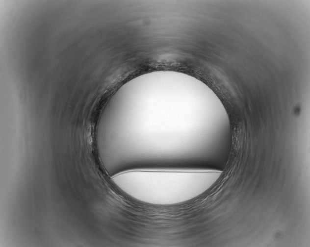 X0000099560232200805160758