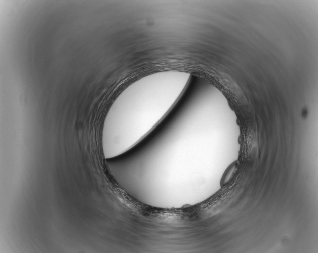 X0000099560236200805160758