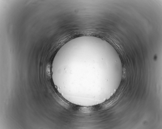 X0000099560238200805160758