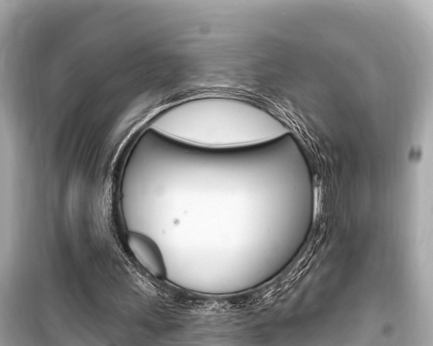 X0000099560243200805160757