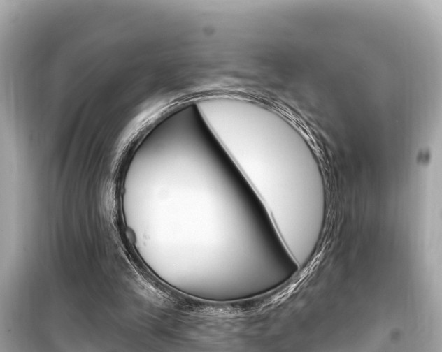 X0000099560245200805160757
