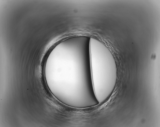 X0000099560246200805160757
