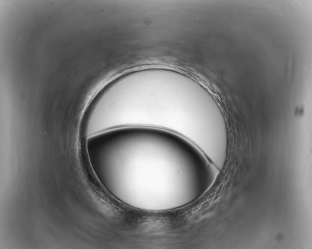 X0000099560248200805160757