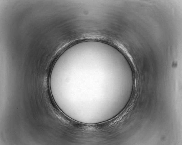 X0000099560249200805160757