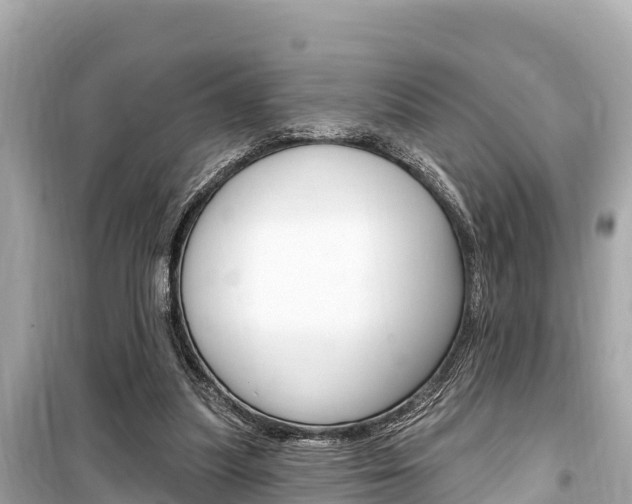 X0000099560251200805160757