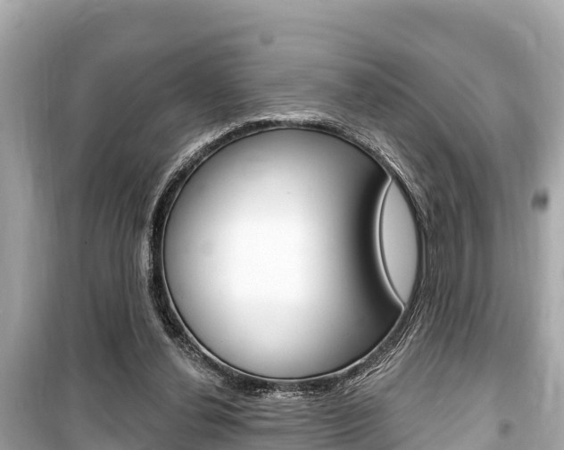 X0000099560252200805160757