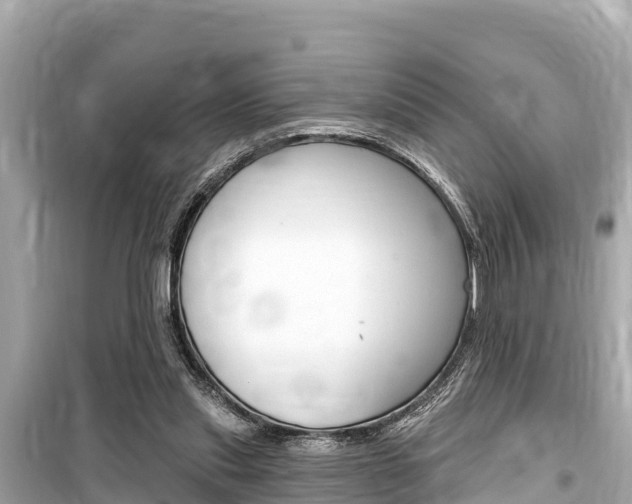 X0000099560253200805160757