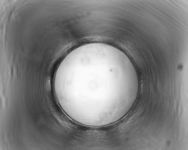 X0000099560254200805160757