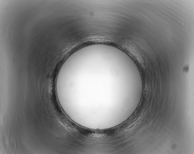 X0000099560255200805160757