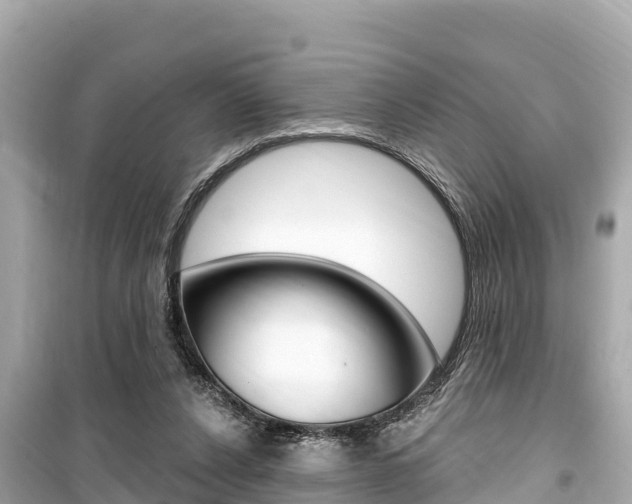 X0000099560256200805160757