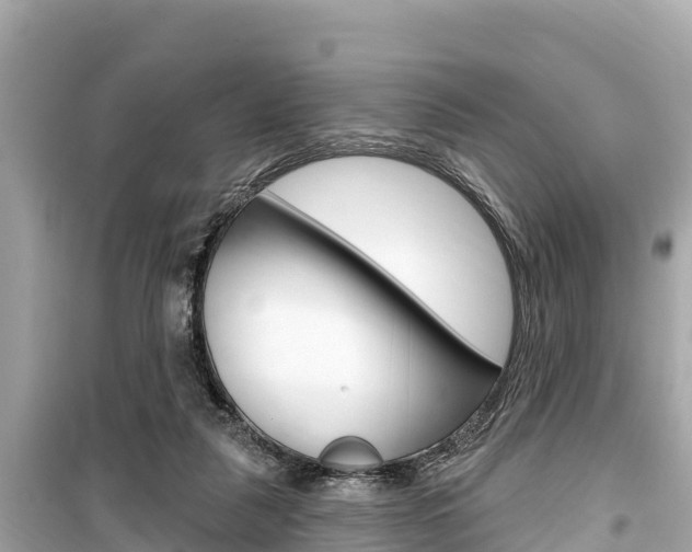 X0000099560259200805160757