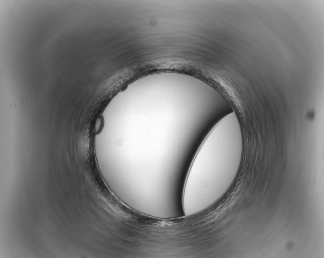 X0000099560261200805160758