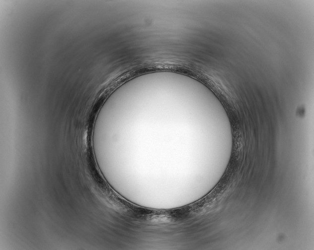 X0000099560262200805160758