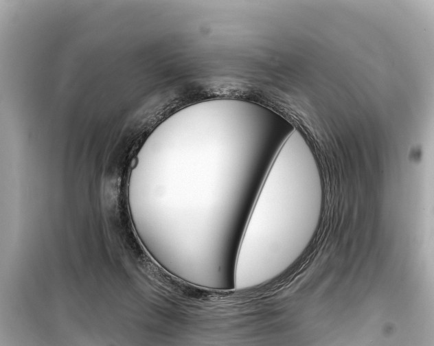 X0000099560263200805160758