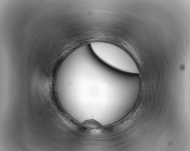 X0000099560265200805160758